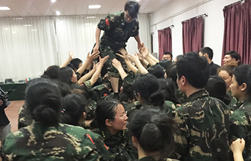 單槍匹馬難跨越，百人抱團筑長城！