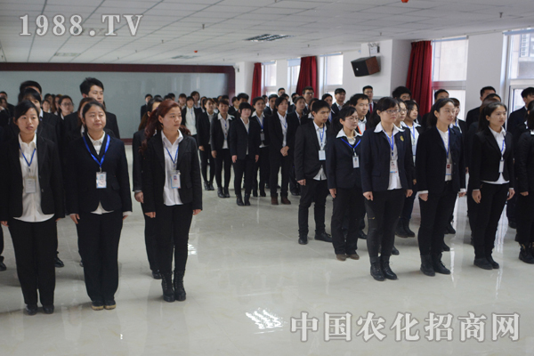 什么樣的團隊才能夠所向披靡?