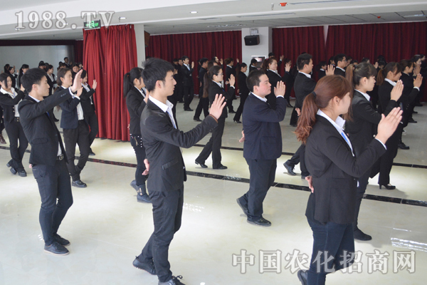 團結協作,鑄造團隊精神