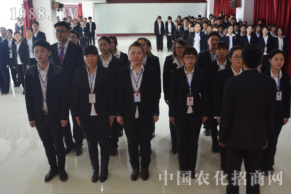 團結的隊伍才是團隊